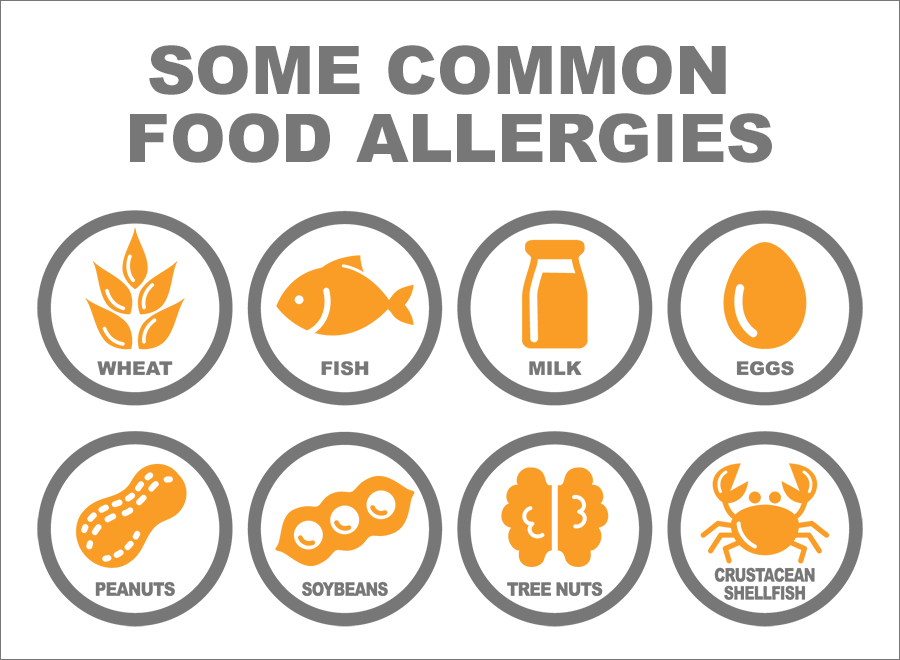 Common Food Allergies