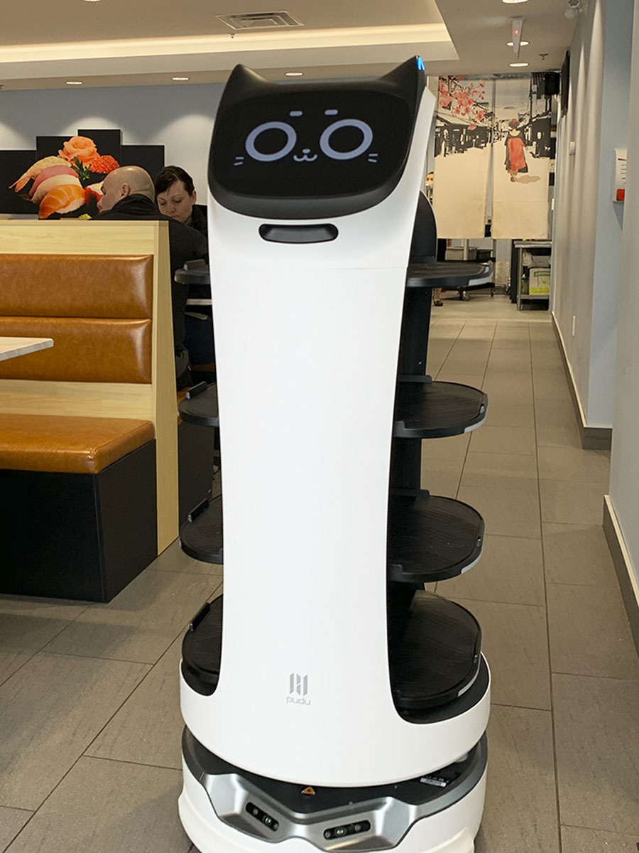 A picture of a server robot.